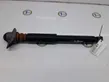 Rear shock absorber with coil spring