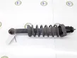 Rear shock absorber with coil spring