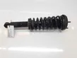 Rear shock absorber with coil spring