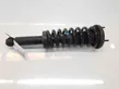 Rear shock absorber with coil spring