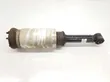 Front shock absorber/damper