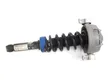 Rear shock absorber with coil spring