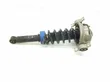 Rear shock absorber with coil spring