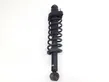 Rear shock absorber with coil spring