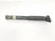 Rear shock absorber with coil spring