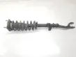 Front shock absorber/damper