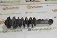 Rear shock absorber with coil spring