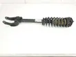 Front shock absorber/damper