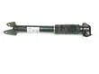 Rear shock absorber with coil spring