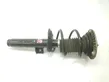 Front shock absorber/damper