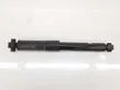 Rear shock absorber with coil spring