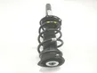 Front shock absorber/damper