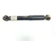 Rear shock absorber with coil spring