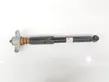 Rear shock absorber with coil spring