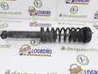 Rear shock absorber with coil spring