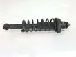 Rear shock absorber with coil spring