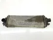 Intercooler radiator