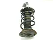 Front shock absorber/damper