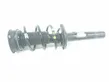 Front shock absorber/damper