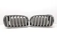 Front bumper upper radiator grill