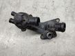 Thermostat/thermostat housing