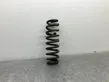 Rear coil spring