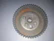 Fuel pump gear (pulley)