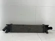 Radiador intercooler