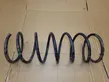 Front coil spring