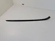 Windshield trim