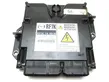 Engine control unit/module ECU