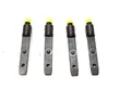 Fuel injectors set