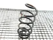 Front coil spring