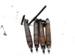 Fuel injectors set