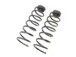 Rear coil spring