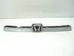 Trunk door license plate light bar