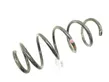 Front coil spring