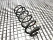 Front coil spring