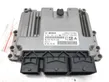 Engine control unit/module ECU