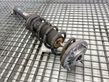 Rear shock absorber/damper   6896016