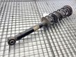 Rear shock absorber/damper   6896016