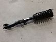 Front shock absorber with coil spring