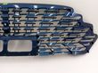Front grill   A731X01271