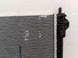 Set del radiatore   302000021AA