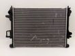 Set del radiatore   302000021AA