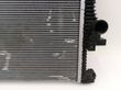 Set del radiatore   302000021AA