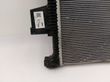Set del radiatore   302000021AA