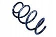 Front coil spring