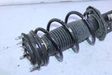 Front coil spring