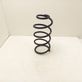 Front coil spring